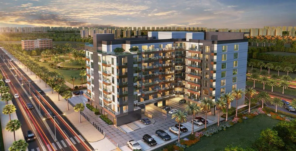 عزيزي بيرتون