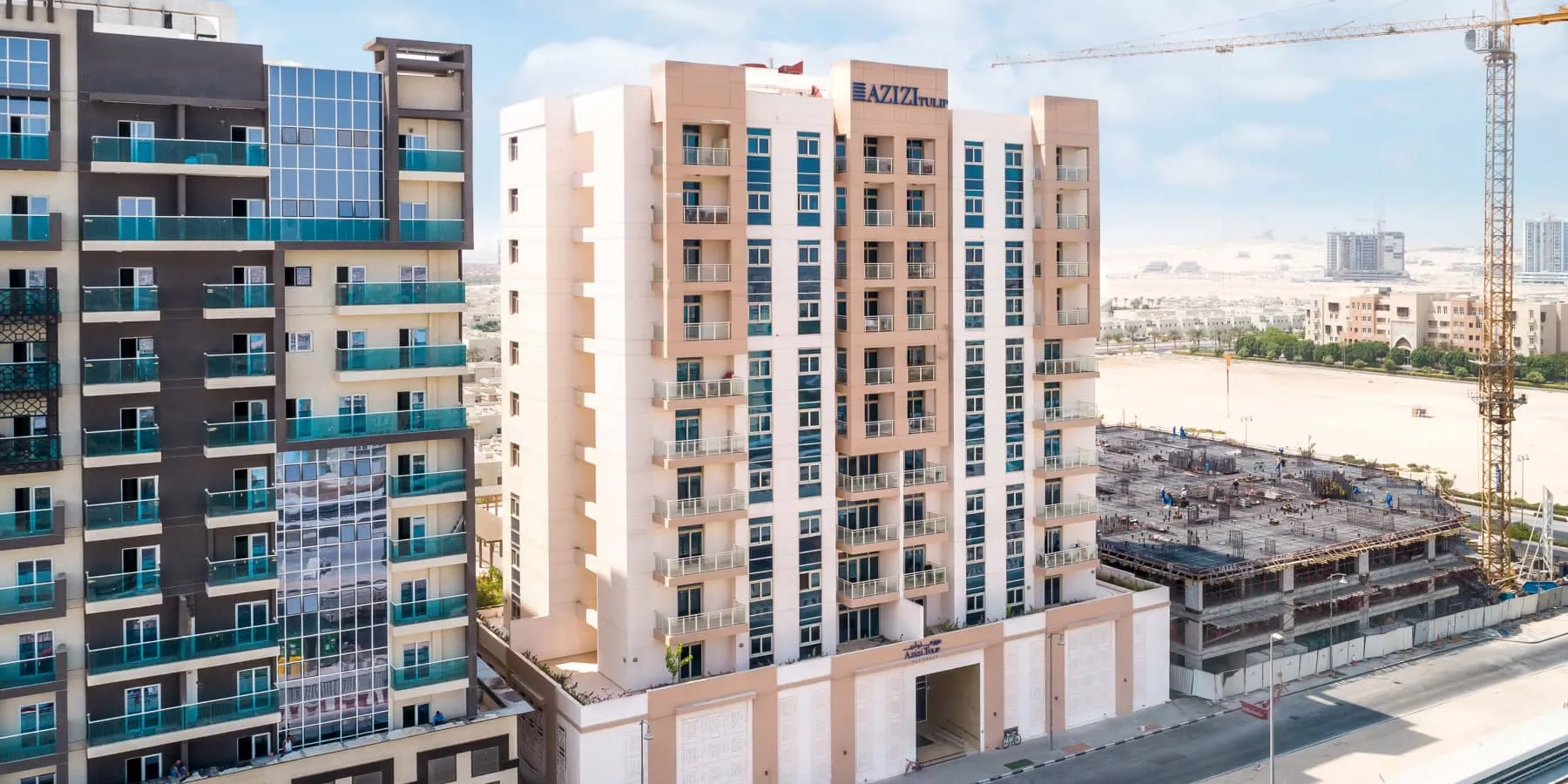 عزيزي توليب