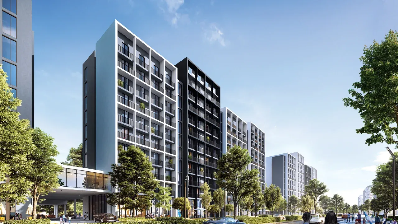 مشروع الجادة في الشارقة  