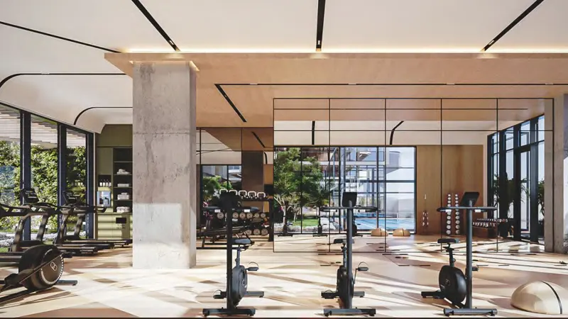 سولينا ذا أوركارد بليس