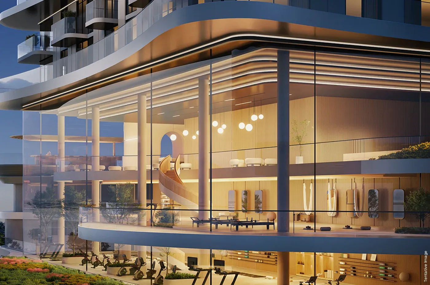 ذا فوريست ديستريكت