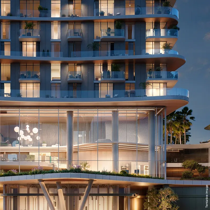 ذا فوريست ديستريكت