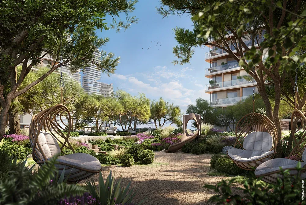 ذا فوريست ديستريكت