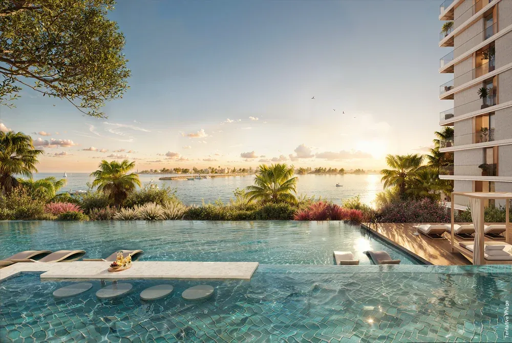 ذا فوريست ديستريكت