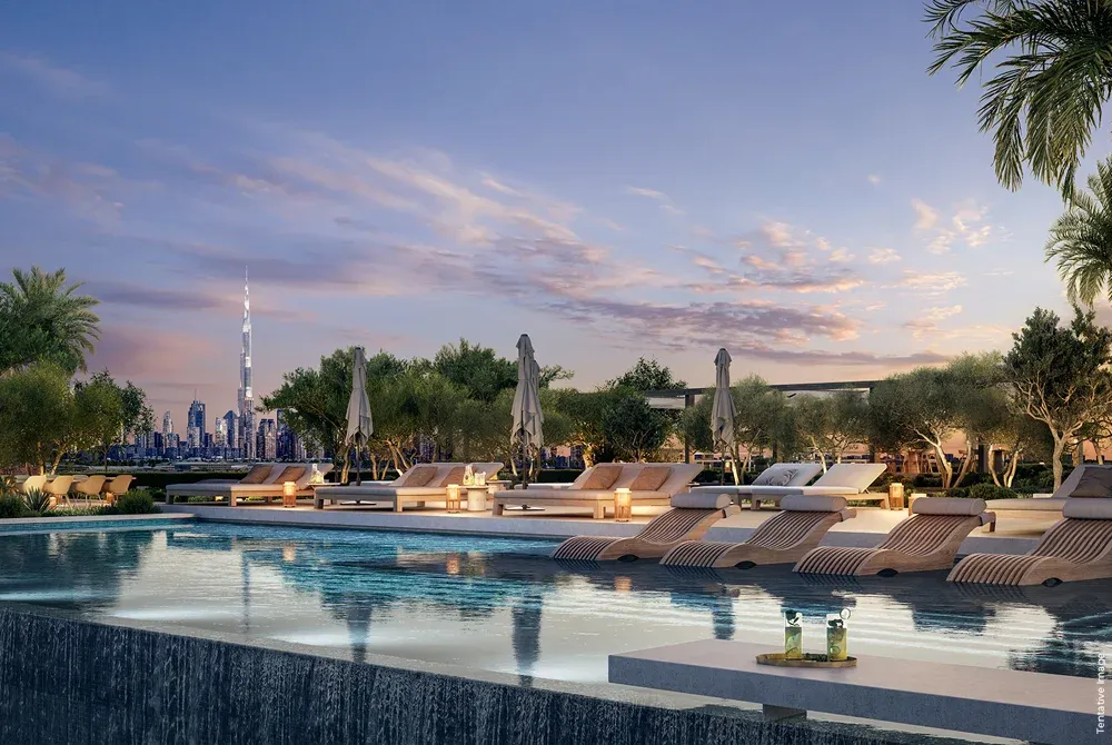 ذا فوريست ديستريكت