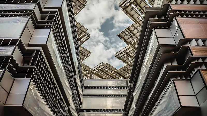 فيل 12 في مدينة مصدر