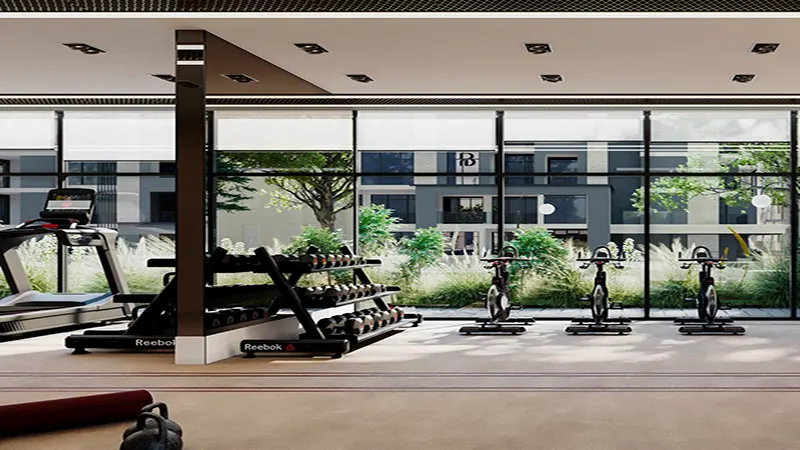 فيل 12 في مدينة مصدر