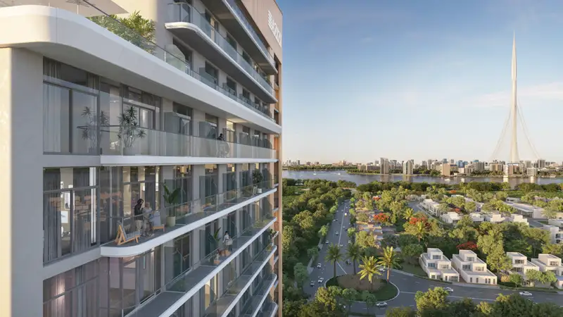 عزيزي ديفيد في الجداف