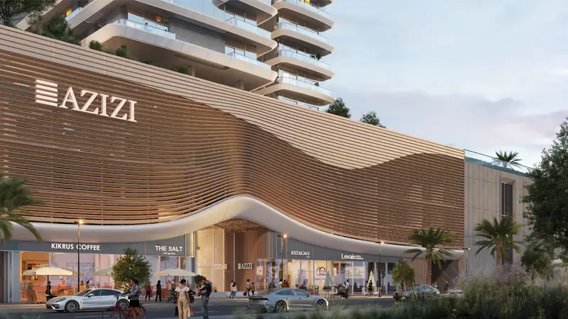 عزيزي ديفيد في الجداف