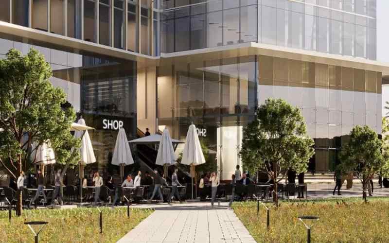 المرافق والخدمات في قصور عزيزي موناكو