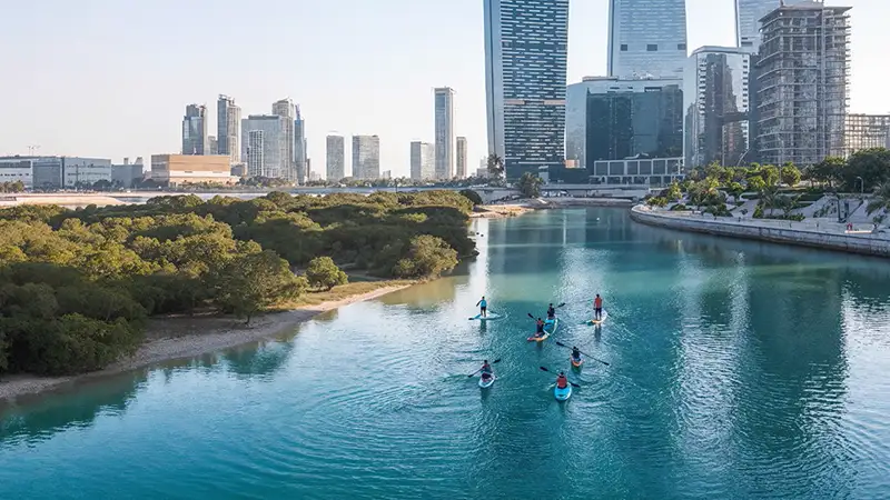 أبراج راديانت أتريوم