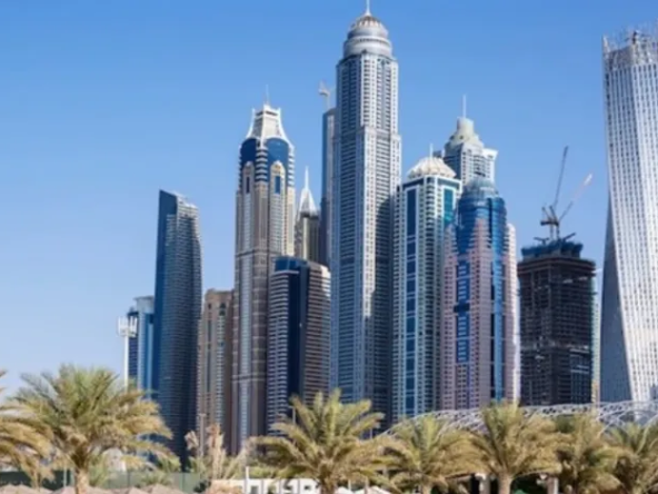 الاستثمار في مشاريع بن غاطي