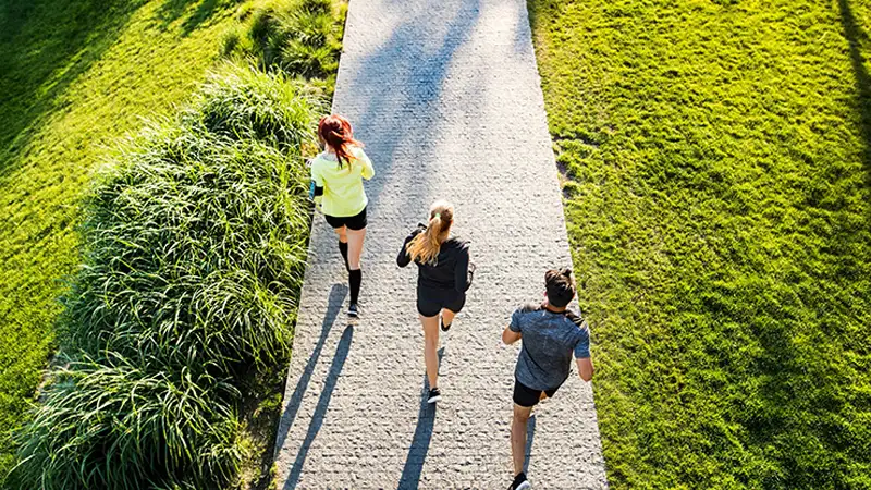 فيستا ريدج في إعمار ساوث دبي