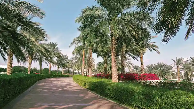 نوفيه ريزيدنسز شقق للبيع في دبي لاند