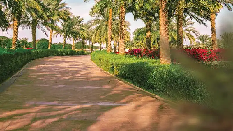 ميوراه ريزيدنس دبي الجنوب شقق سكنية مفروشة للاستثمار والسكن