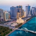 نخيل مقابل شوبا