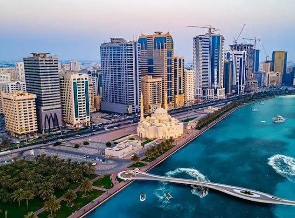 نخيل مقابل شوبا